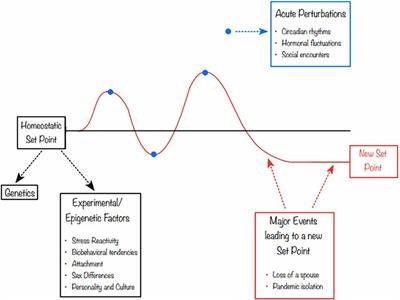 Individual differences in social homeostasis